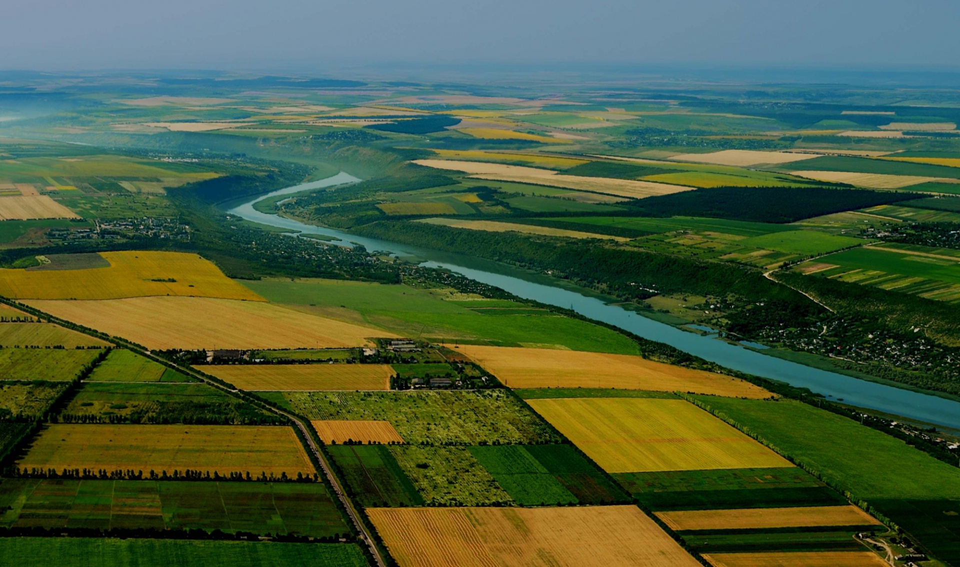 field